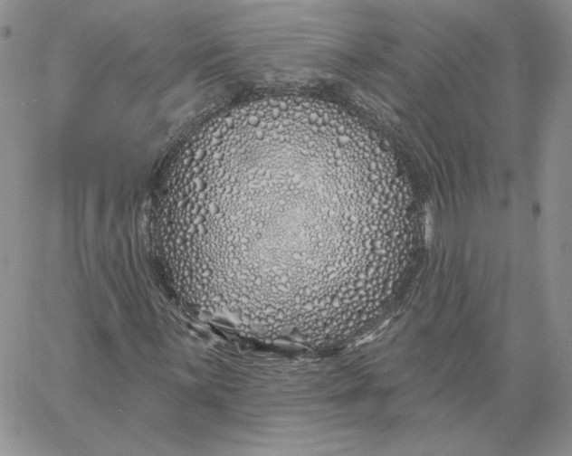 X0000060581059200511241335