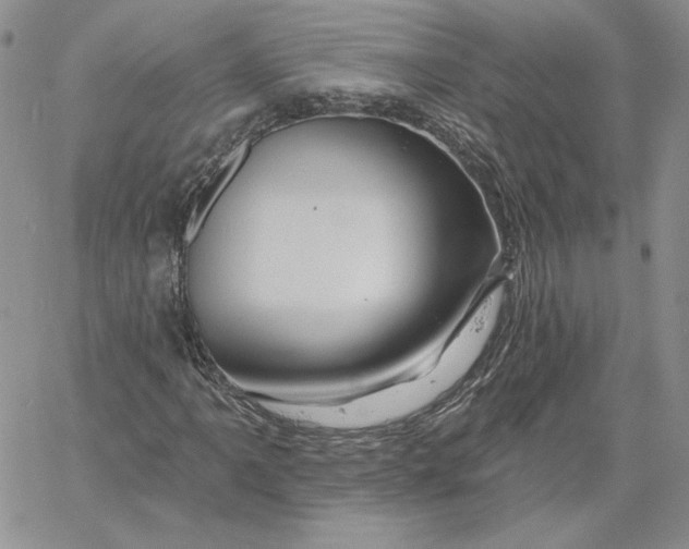 X0000060581061200511241335