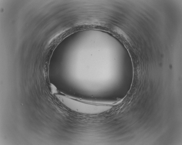 X0000060581064200511241335