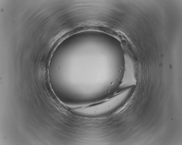 X0000060581065200511241335