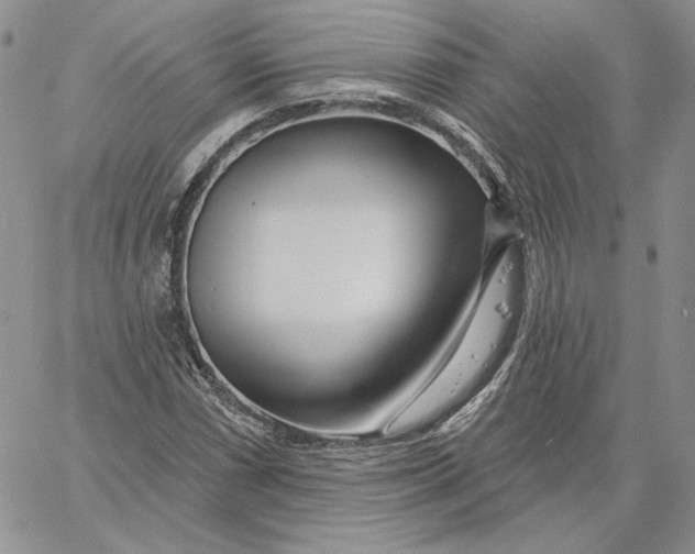 X0000060581066200511241335