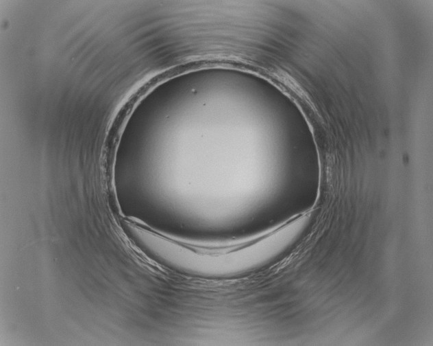 X0000060581068200511241335