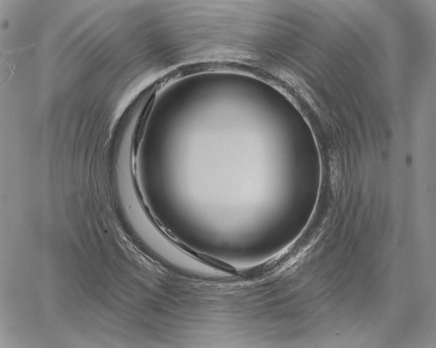 X0000060581069200511241335