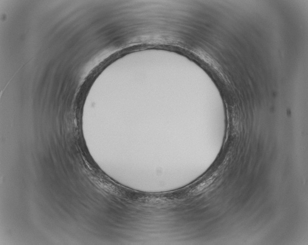 X0000060581070200511241335