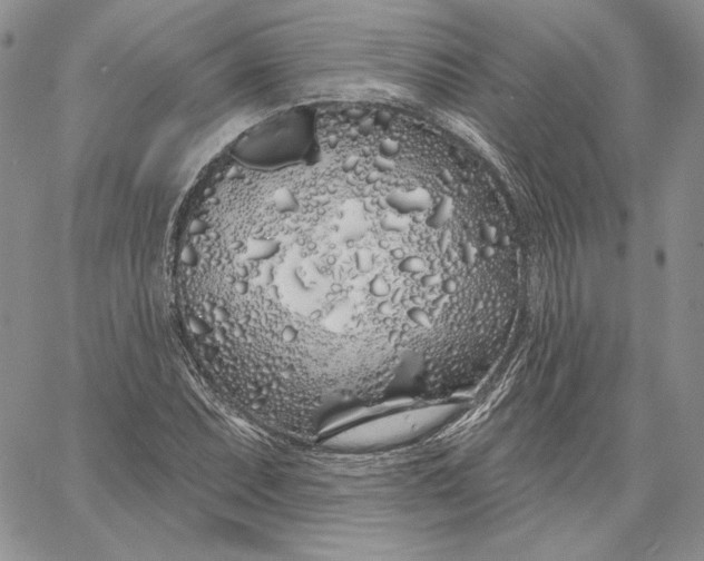 X0000060581071200511241335