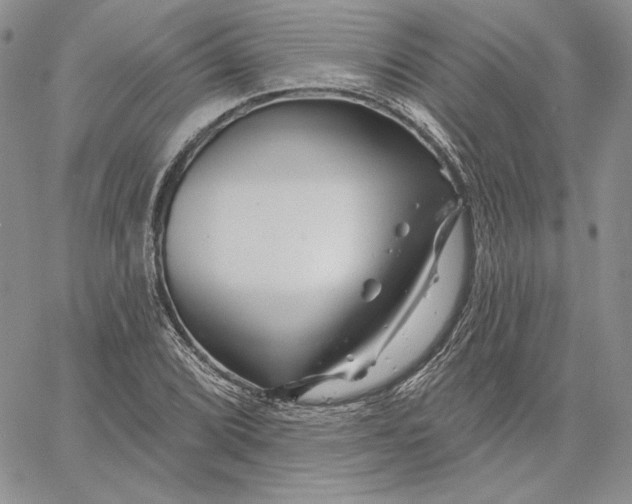 X0000060581072200511241335