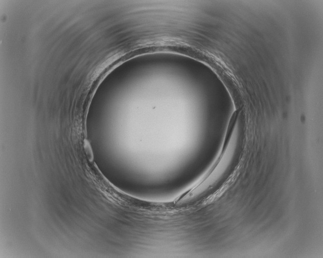 X0000060581073200511241335