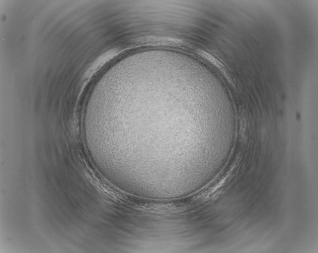 X0000060581074200511241335