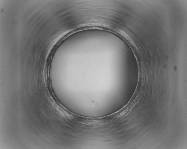 X0000060581076200511241335