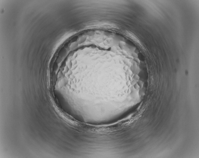 X0000060581079200511241335