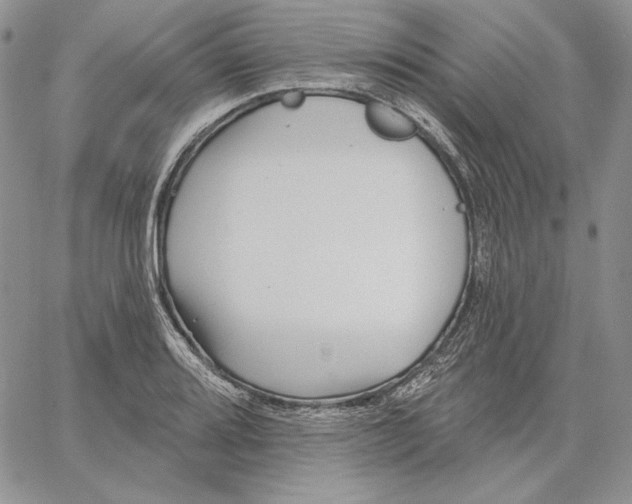 X0000060581080200511241335