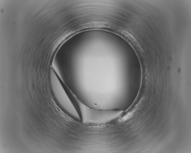 X0000060581081200511241335