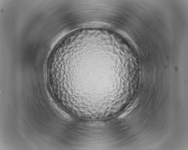 X0000060581083200511241335