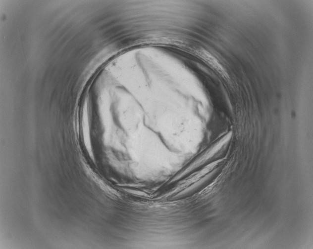 X0000060581084200511241335