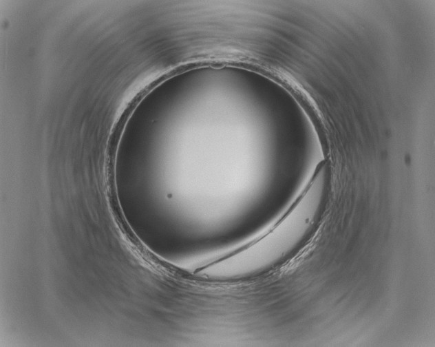 X0000060581085200511241335