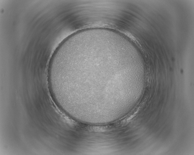 X0000060581086200511241335