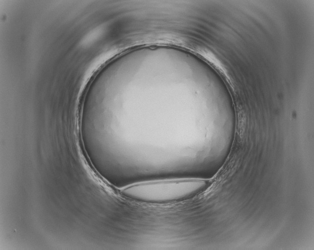 X0000060581088200511241335