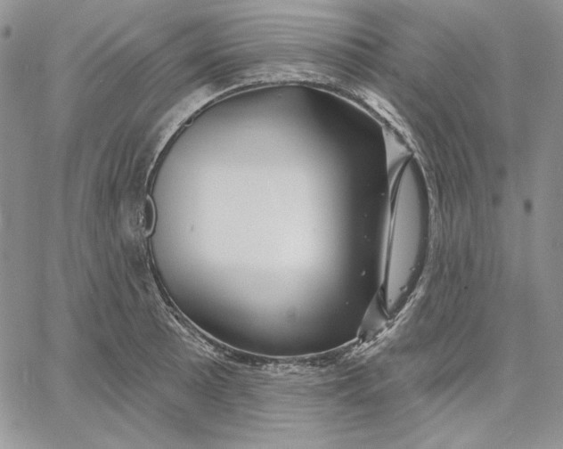 X0000060581089200511241335