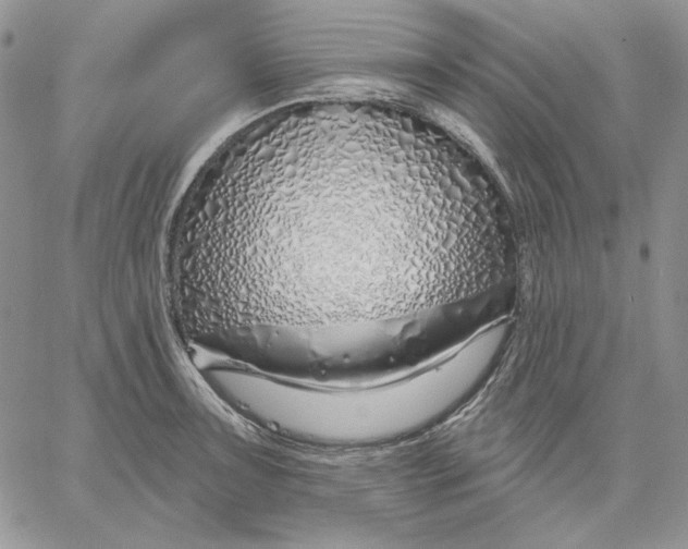 X0000060581091200511241335