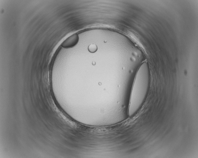 X0000060581092200511241335