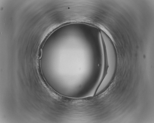 X0000060581093200511241335