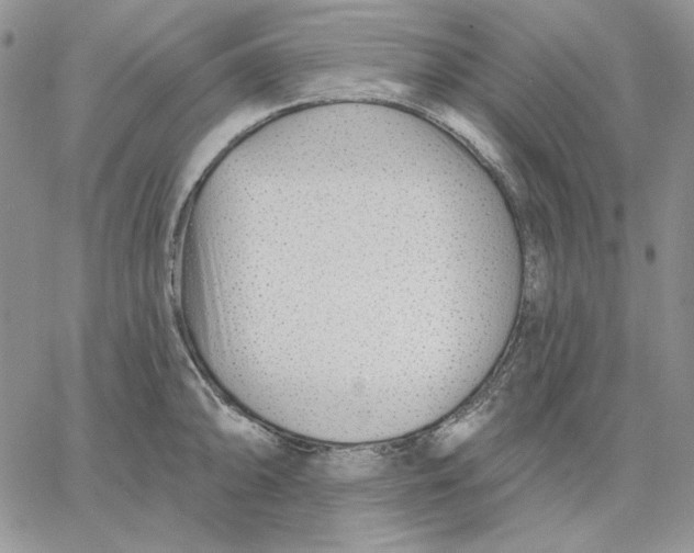 X0000060581094200511241335