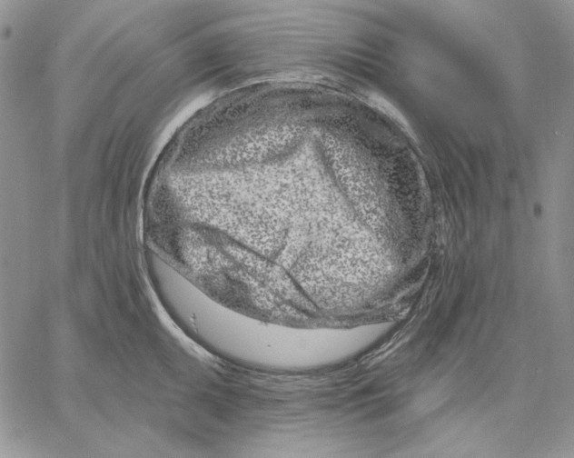 X0000060581095200511241335