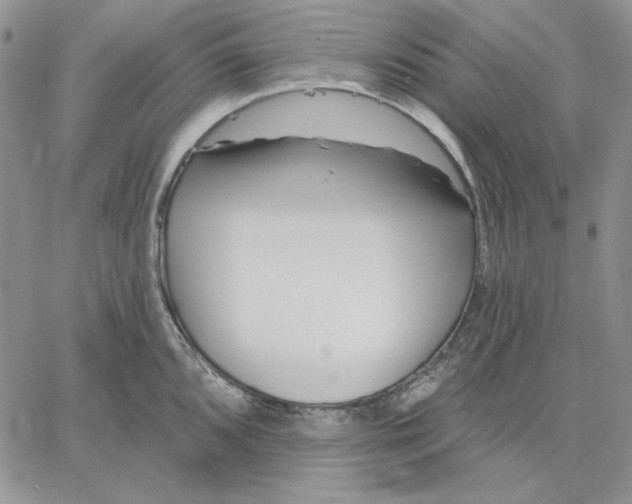 X0000060581096200511241335