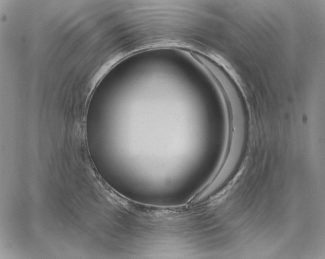 X0000060581097200511241335