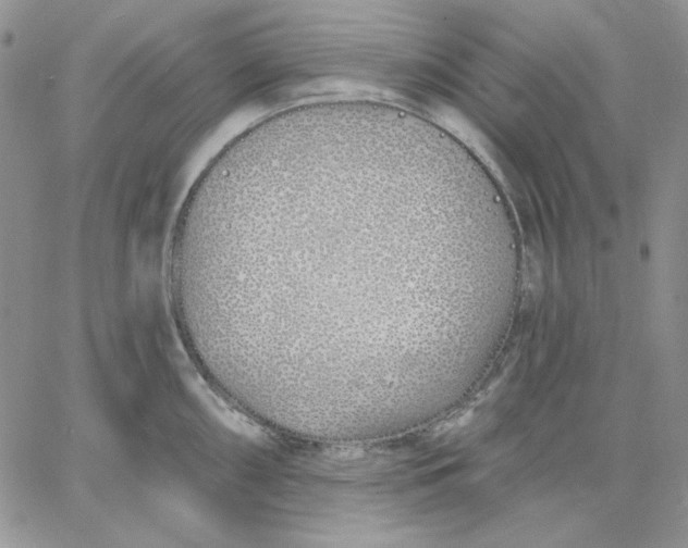 X0000060581098200511241335