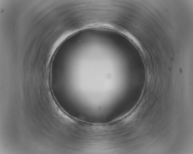 X0000060581102200511241335