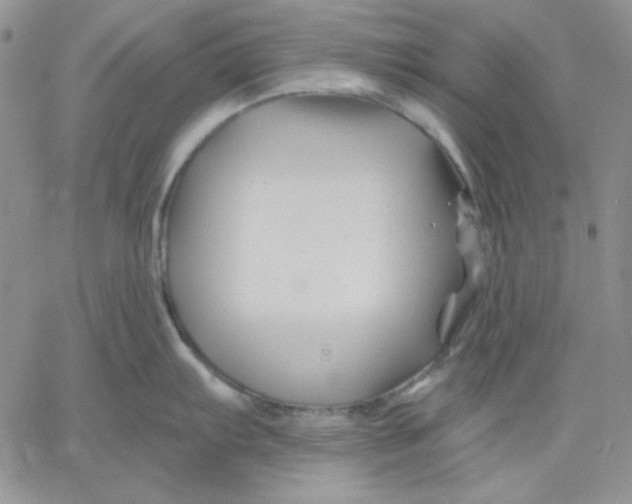 X0000060581103200511241335