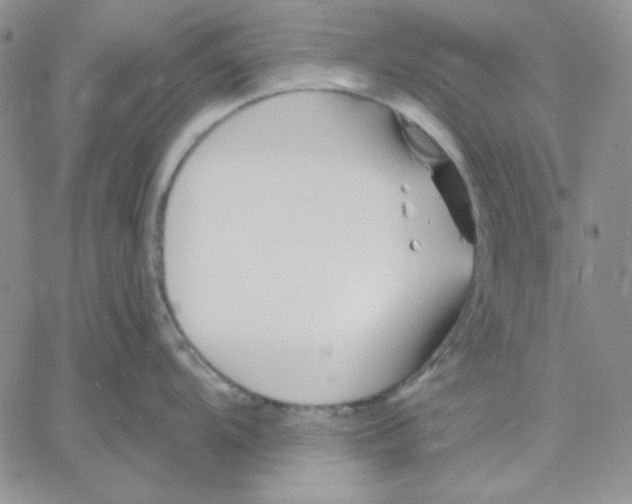 X0000060581104200511241335