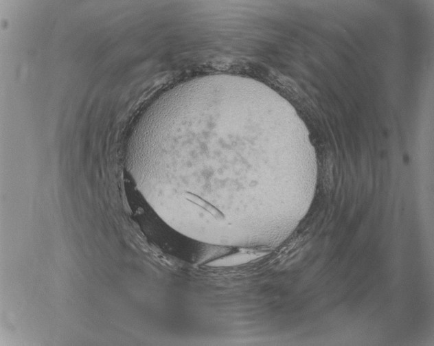 X0000060581105200511241334