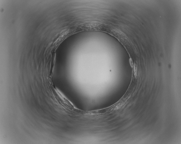 X0000060581107200511241334