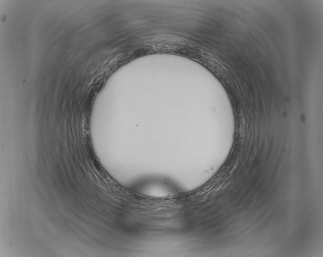 X0000060581108200511241334