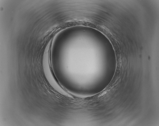 X0000060581110200511241334