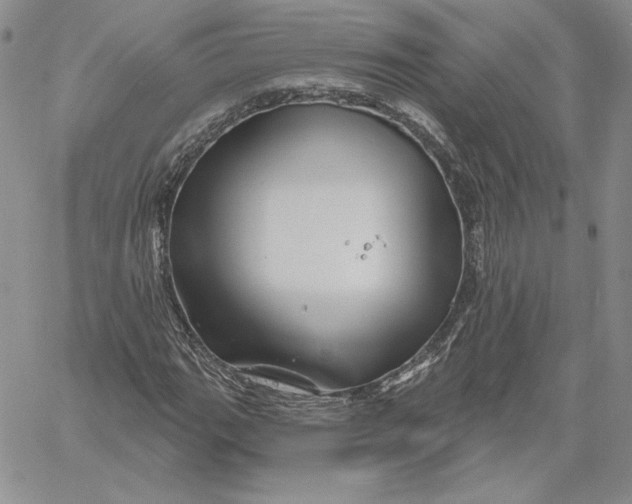 X0000060581111200511241334