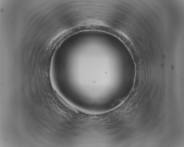 X0000060581112200511241334