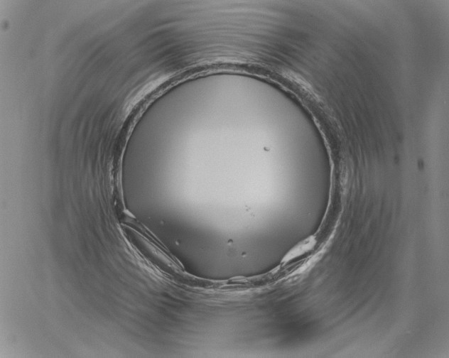 X0000060581113200511241334