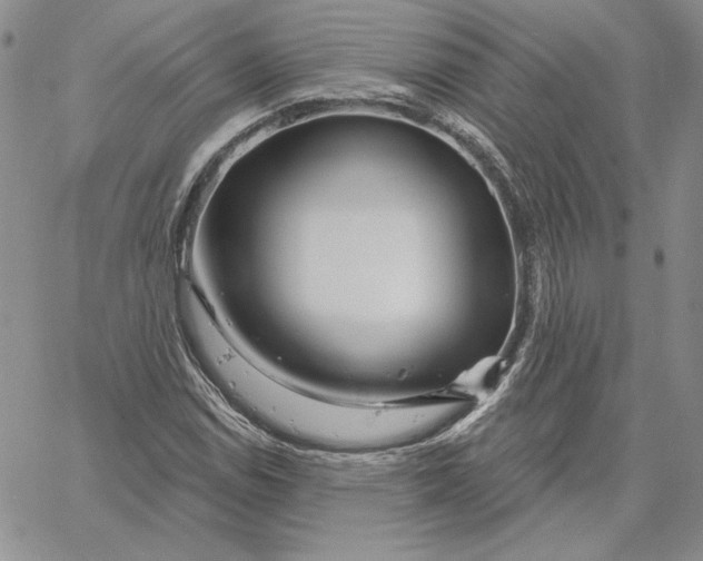 X0000060581114200511241334