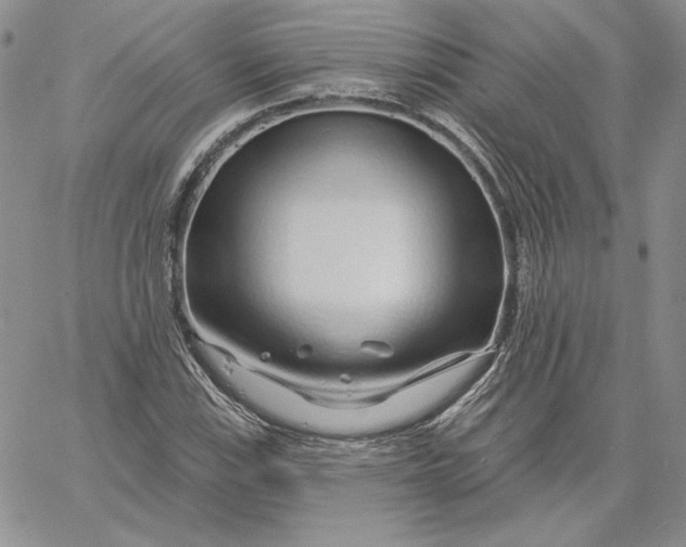 X0000060581115200511241334