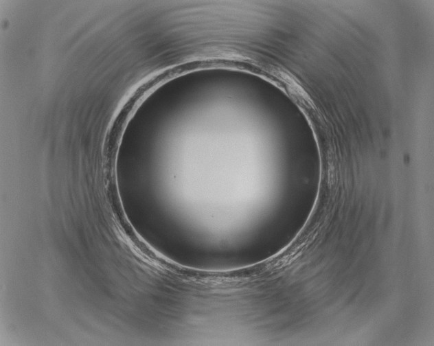 X0000060581116200511241334