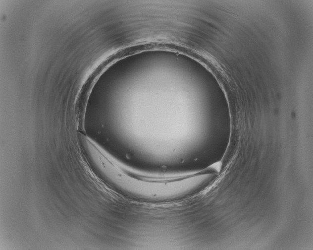 X0000060581118200511241334