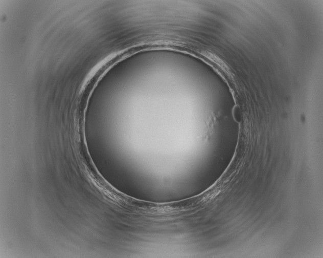 X0000060581120200511241334