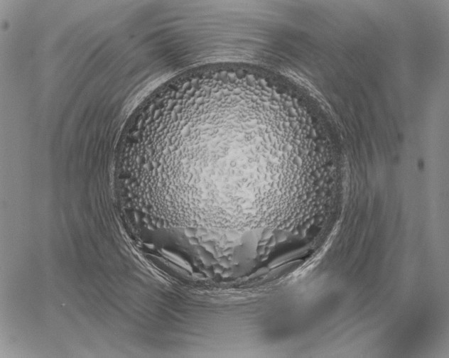 X0000060581121200511241334