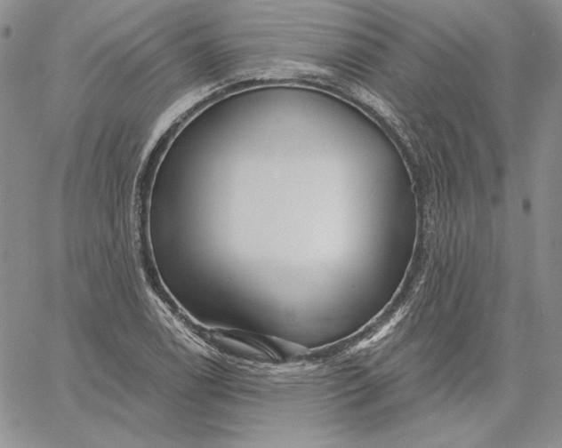 X0000060581122200511241334