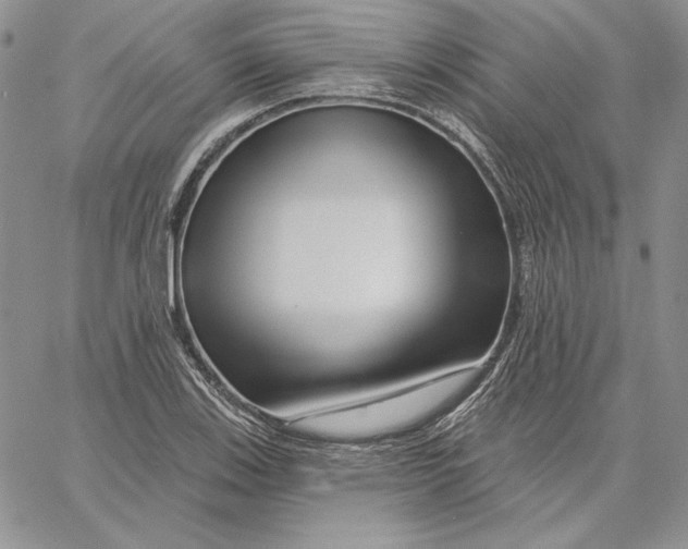 X0000060581123200511241334