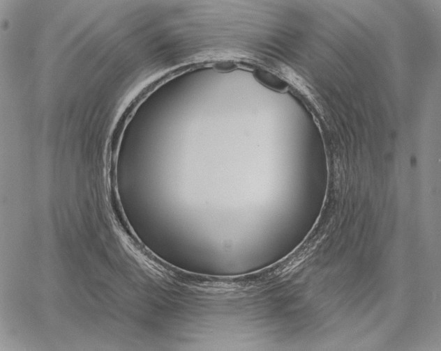 X0000060581124200511241334