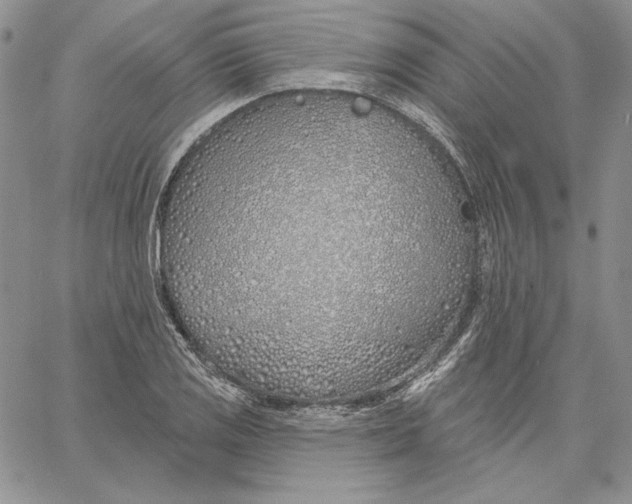 X0000060581125200511241334